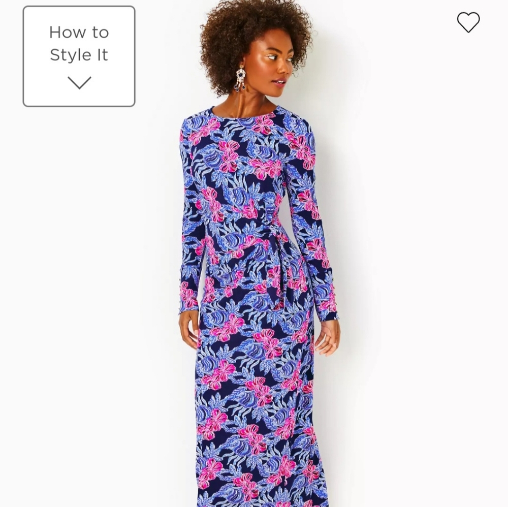 EUC Bryson Maxi Dress